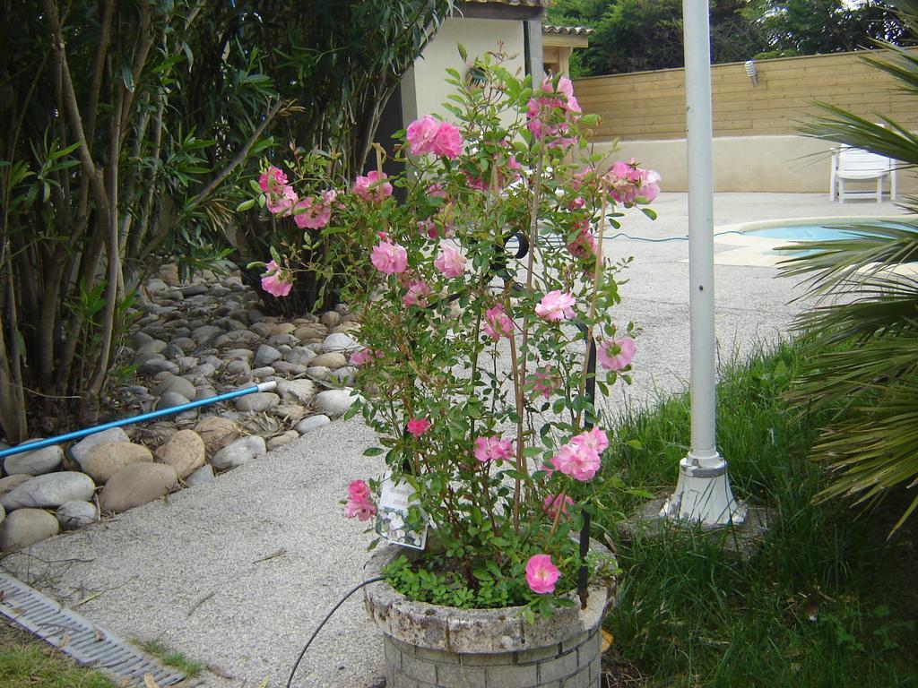 مبيت وإفطار Étoile-sur-Rhône Les Galets D'Evelyne المظهر الخارجي الصورة